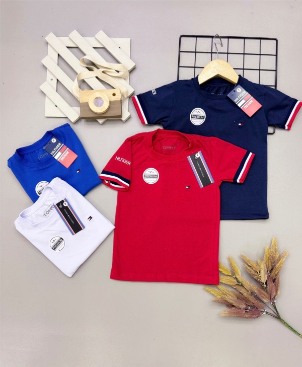 Camiseta Peruana Tommy Detalhe na Manga